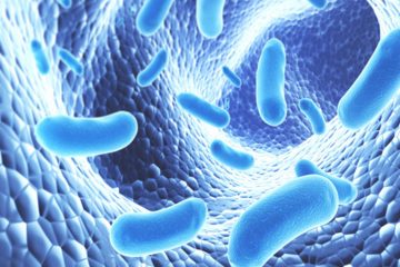 Les probiotiques et prébiotiques, les alliés des sportifs !